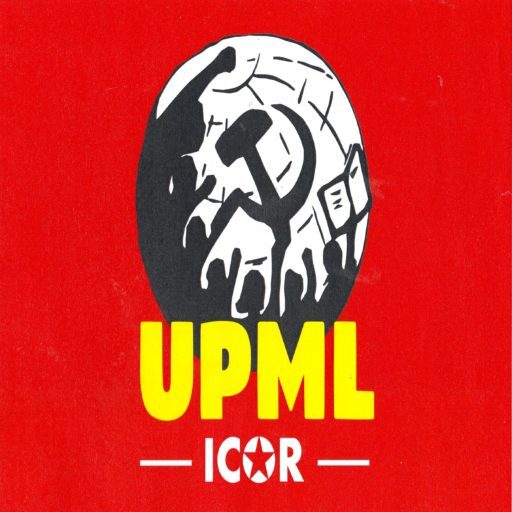 Intervention de l’UPML au webinaire de décembre
