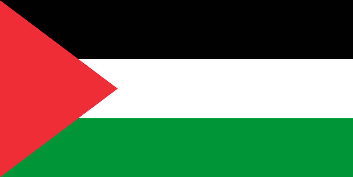 Une victoire antiimpérialiste dans la solidarité avec la lutte pour la Palestine !