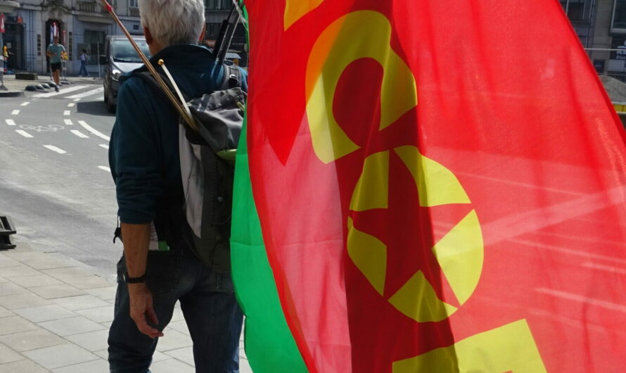 Manifestation européenne à Bruxelles pour la Palestine: Une délégation de l’ICOR était sur place